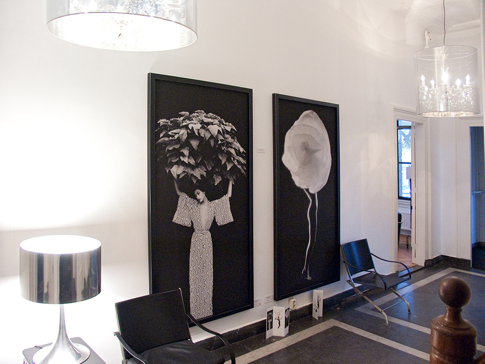 DeKiviet Modern Wonen