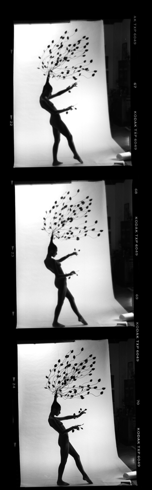 Daphne contact sheet