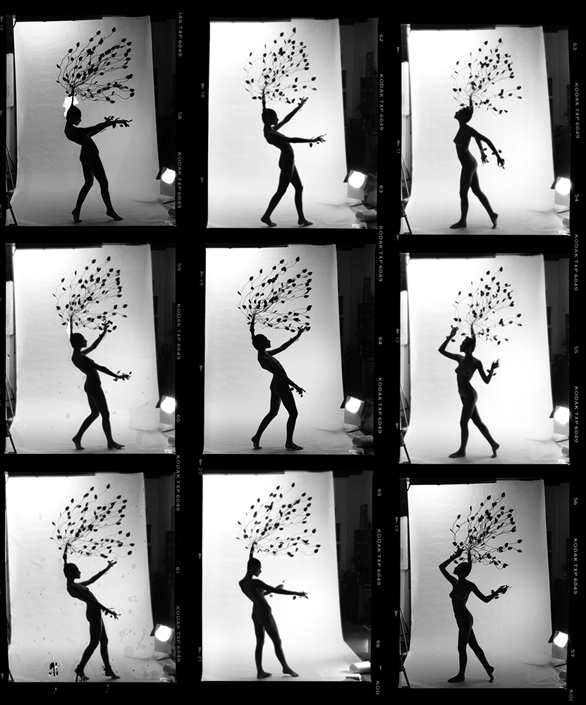 Daphne contact sheet