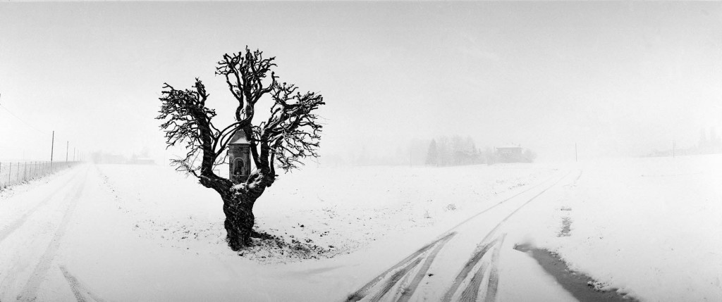Marian Tree